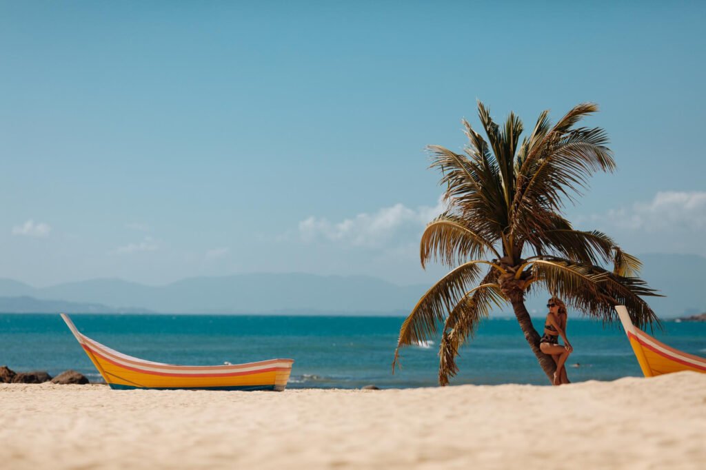 Palm tree and fishing boats on a Puerto Vallarta beach